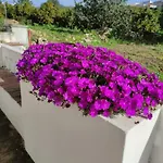 Monte Da Bisa - Tavira فيلة