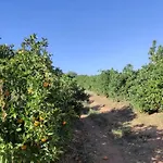 Monte Da Bisa - Tavira فيلة Santo Estevao (Faro)