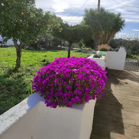 Villa Monte Da Bisa - Tavira Santo Estevao (Faro)