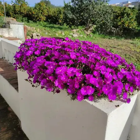 Monte Da Bisa - Tavira Villa