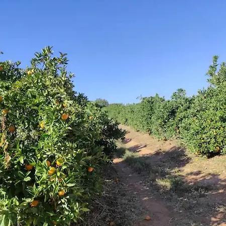 Monte Da Bisa - Tavira Villa Santo Estevao (Faro)