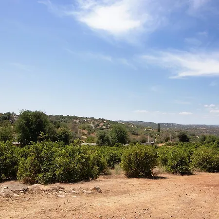 Monte Da Bisa - Tavira Villa Santo Estevao (Faro)