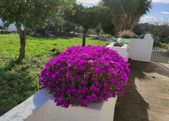 Villa Monte Da Bisa - Tavira Santo Estevao (Faro)