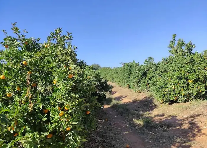 Monte Da Bisa - Tavira Villa Santo Estevao (Faro)